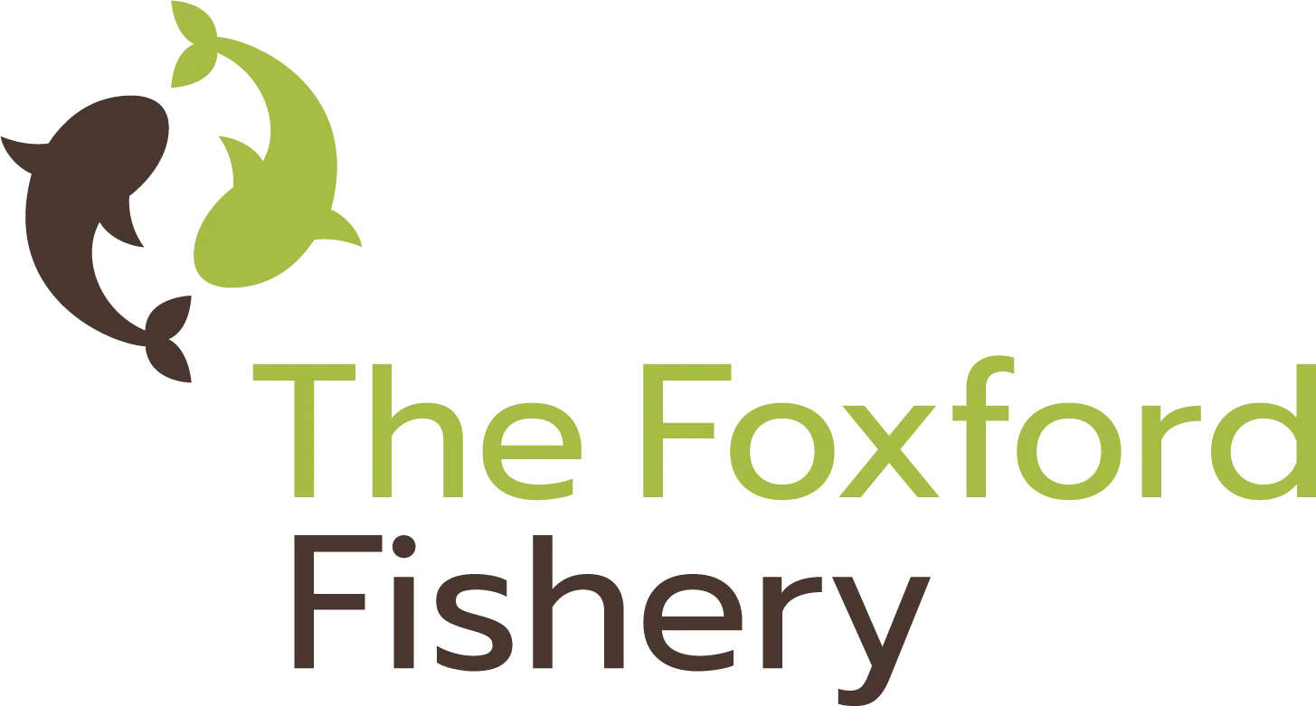 The Foxford Fishery
